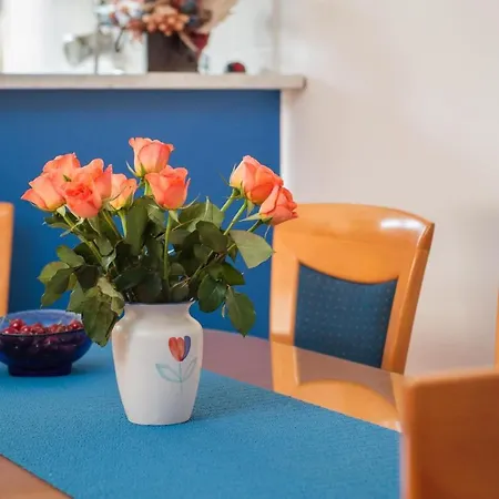 Comfortable And Fully Furbished In Center * Сплит